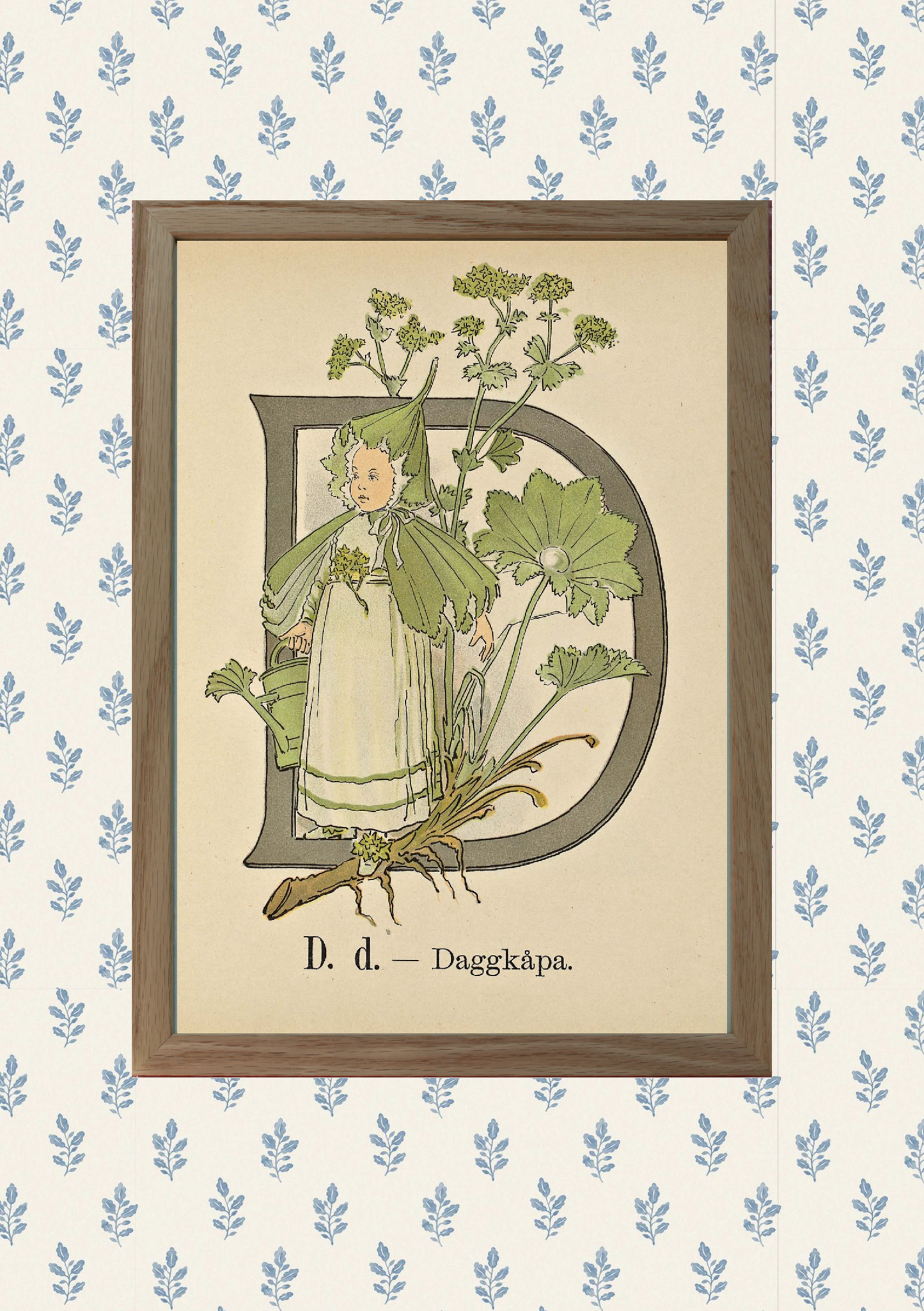 Alphabet of Flowers — D